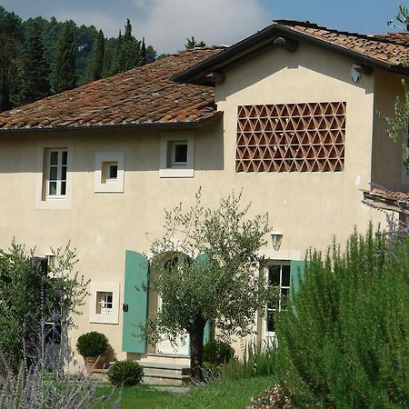 Agriturismo Mareli Βίλα Camaiore Εξωτερικό φωτογραφία